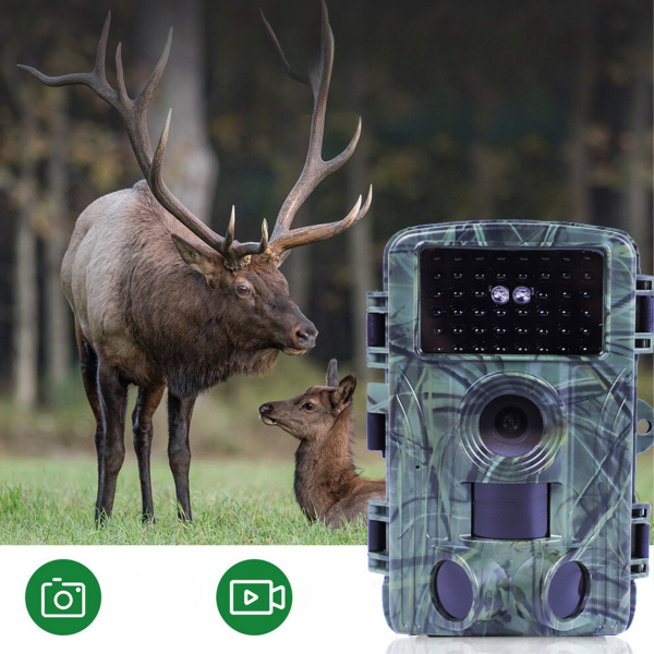 FOTOPUŁAPKA SN5020