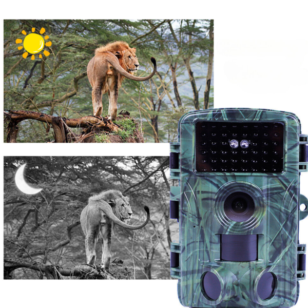 FOTOPUŁAPKA SN5020